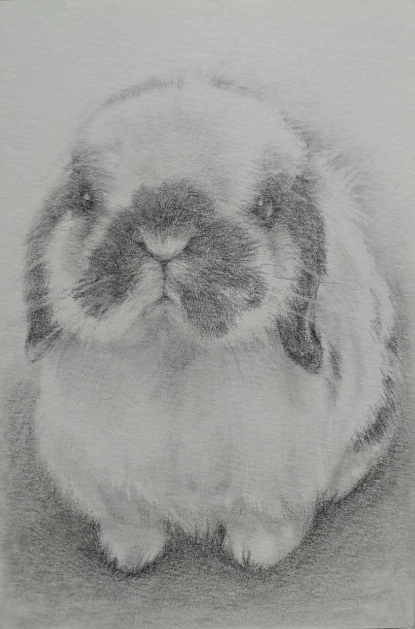 ペットの似顔絵を鉛筆で描きます 大好きなペットとの思い出を鉛筆画にしてみませんか？ イメージ9