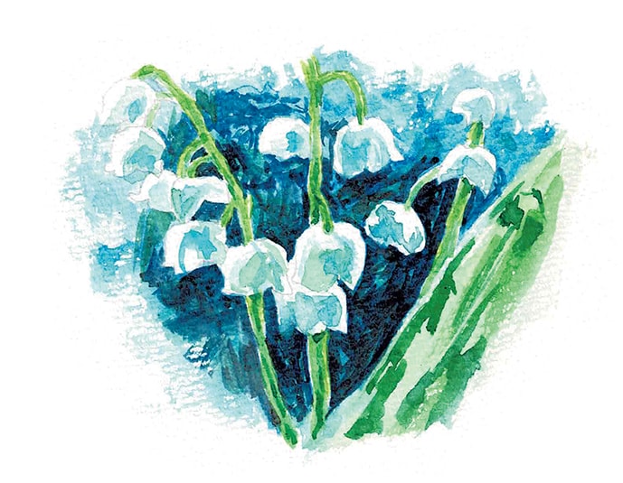 透明感のあるイラスト作成いたします プロフィール用や挿絵などのイラストに如何でしょうか イメージ2