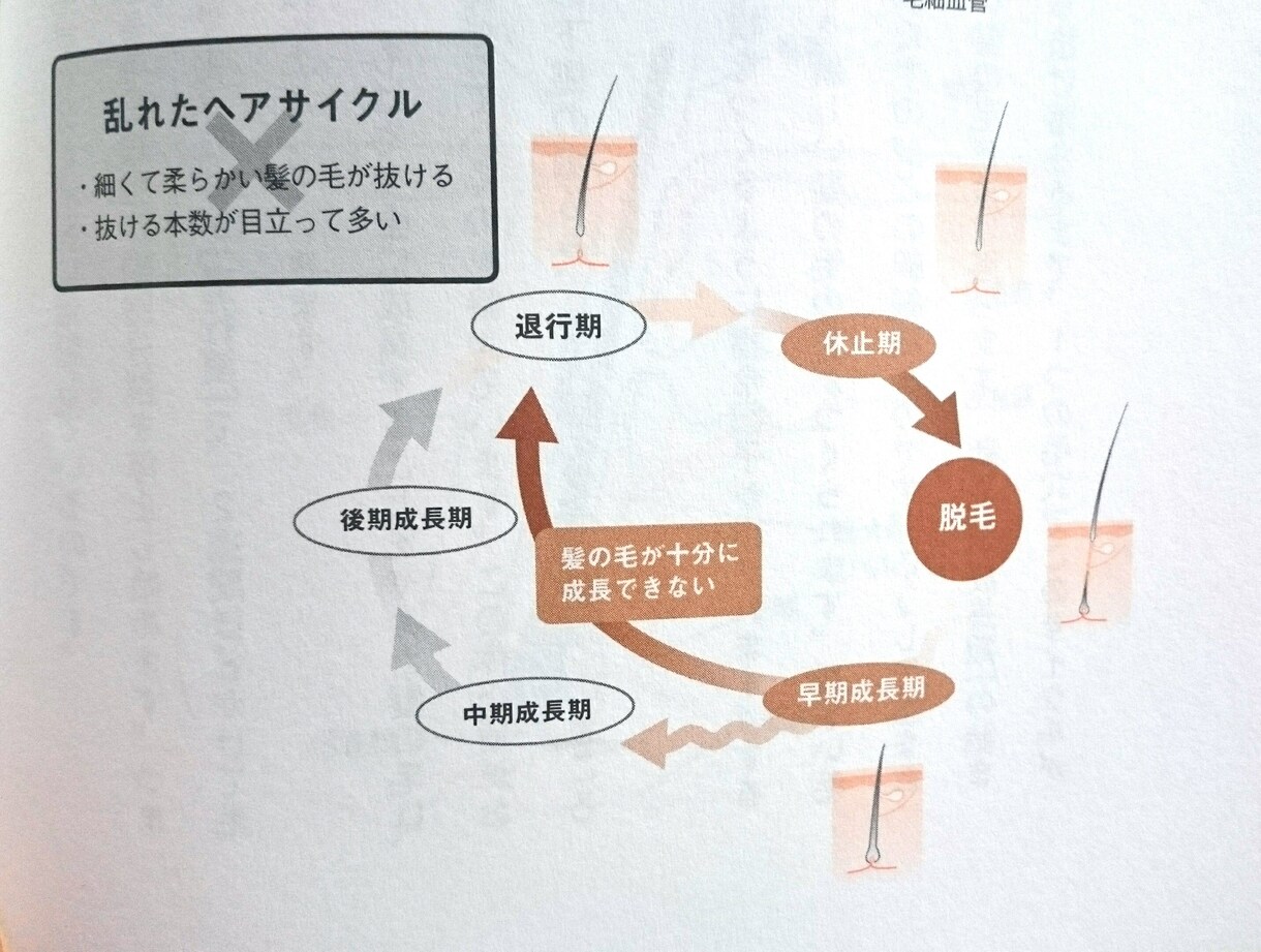 髪を習慣だけで全力で蘇らせます 髪は大切な体の一部です。髪の悩みを解消し充実した人生へ！ イメージ5
