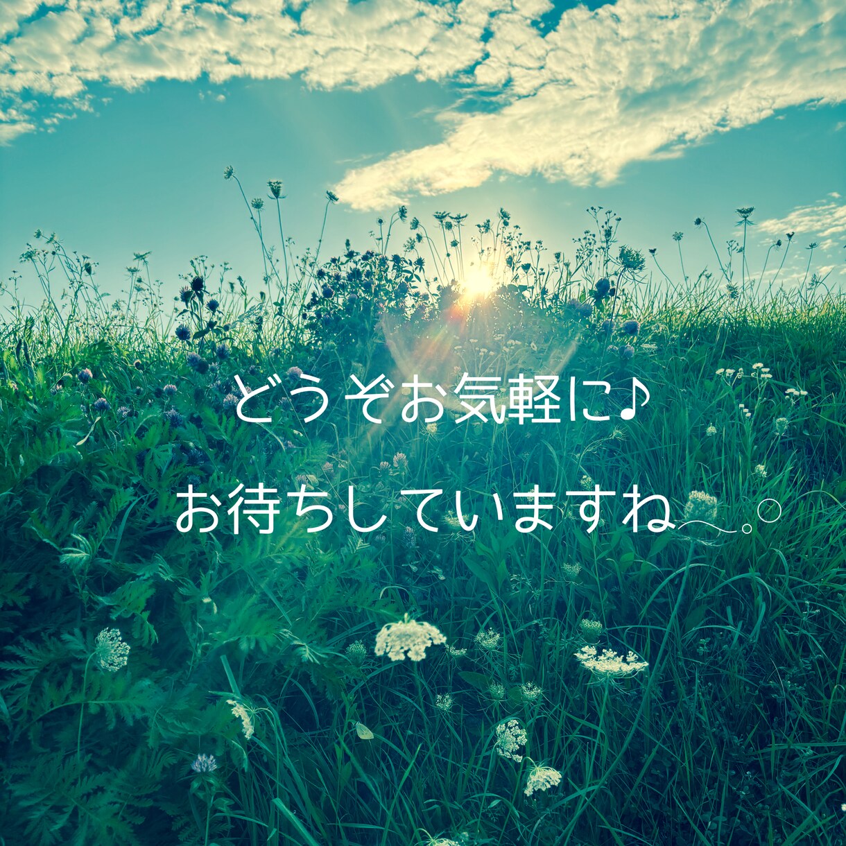 朝のお喋り〜1分からお話しできます なんとなく元気が出ない朝〜お喋りしてから1日を始めませんか？ イメージ6