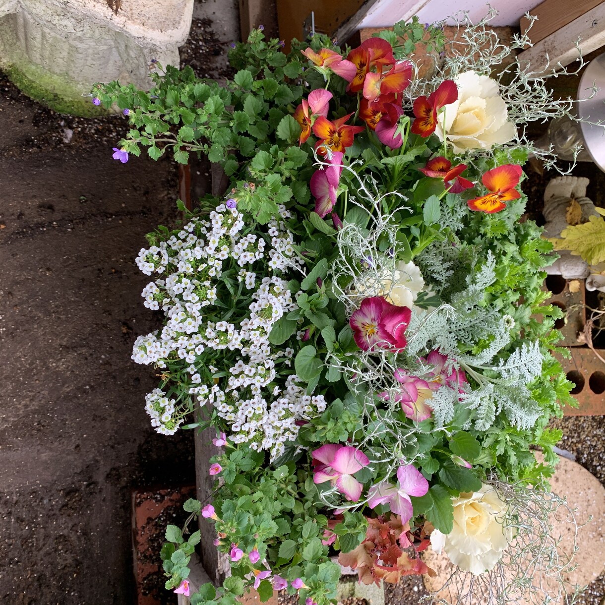寄せ植えを作ります 四季折々の寄せ植え達をお届けします イメージ4