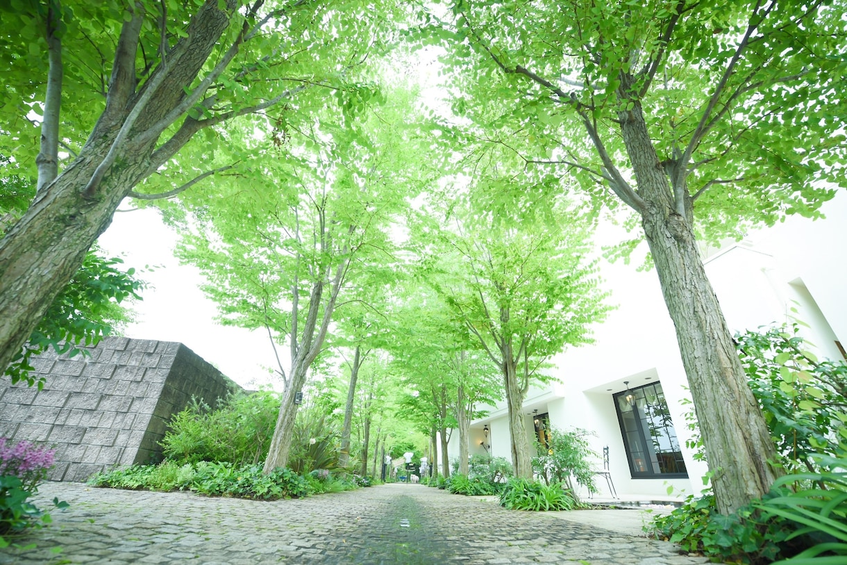 ありがとうを伝えたい方へ、想いを届けます 両親へ、友人へ、感謝の気持ちを動画とメッセージで届けたい イメージ1