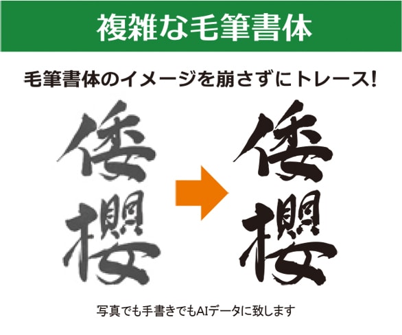 写真や手書きのイラストをＡＩデータ化しますます 面倒なトレース作業！パソコン操作が苦手な方のお役に立ちます イメージ3