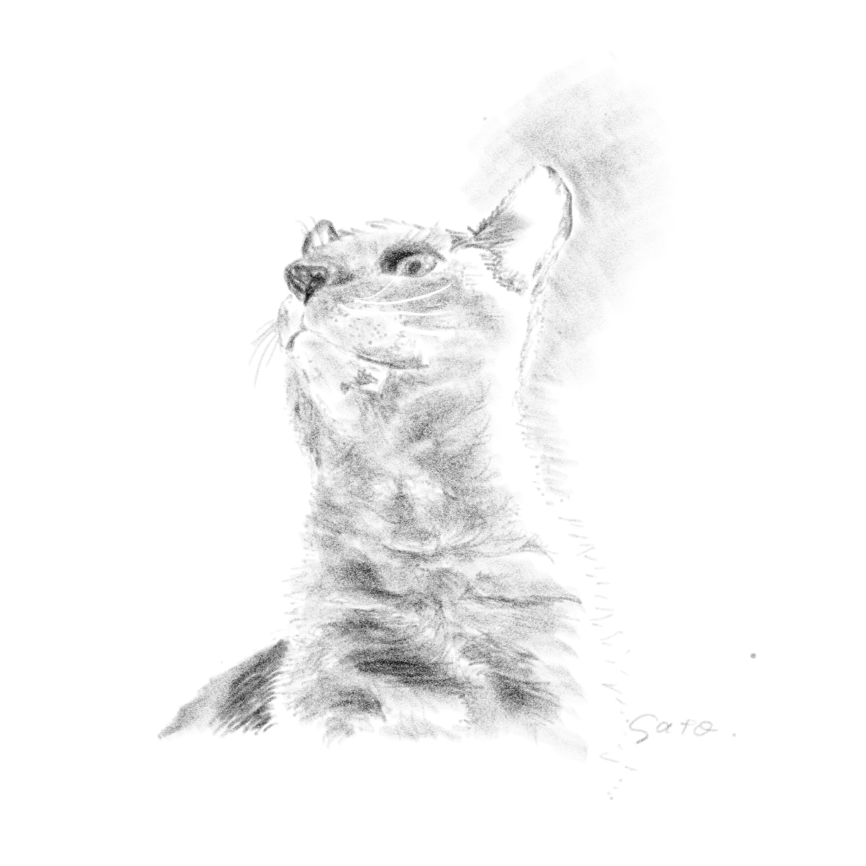 愛しいペットを柔らかな鉛筆画にかえて肖像画にします 写真にはない温もりを。大切なペットとの思い出を鉛筆画で形に。 イメージ1