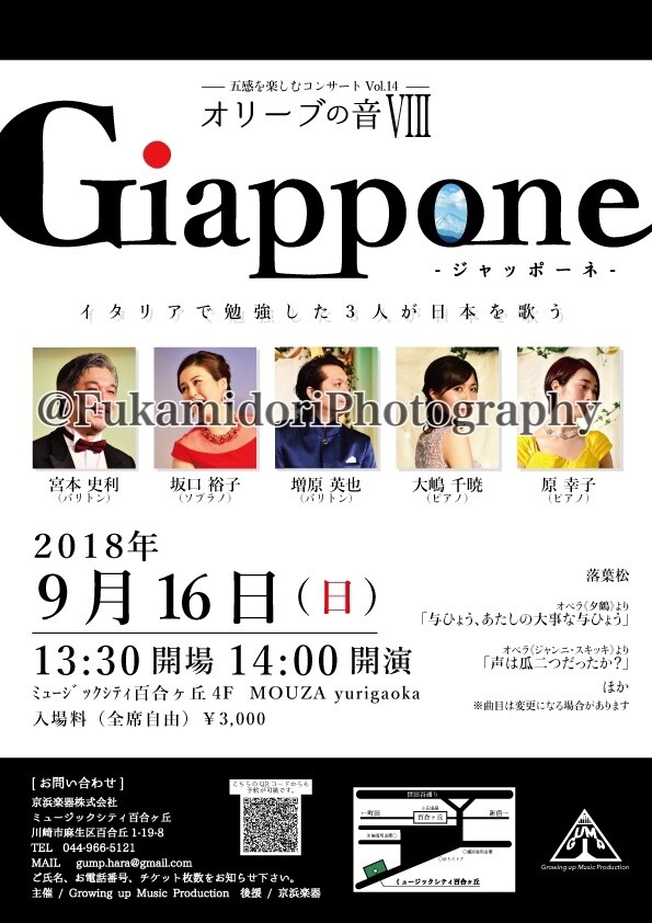 お洒落に！コンサート案内のチラシをデザインします ご本人の雰囲気、イメージに合わせたデザインを提供します。 イメージ2