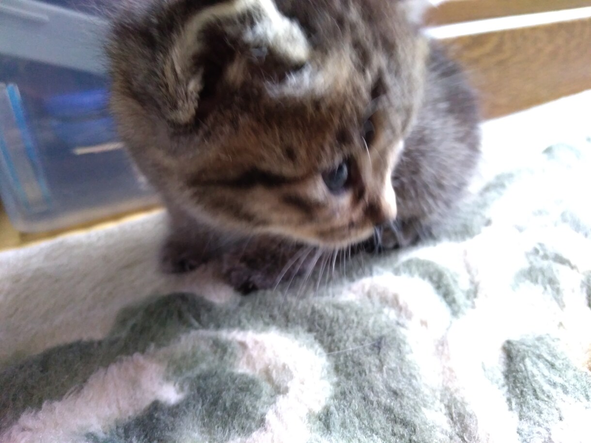 ささいなお悩みから何でもききます 家族との悩みって、どうしても避けられませんよね イメージ8