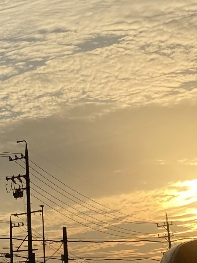 ゆったりしたトーンでお話しします どん底から何度も這い上がってきた傷だらけのカウンセラー イメージ1