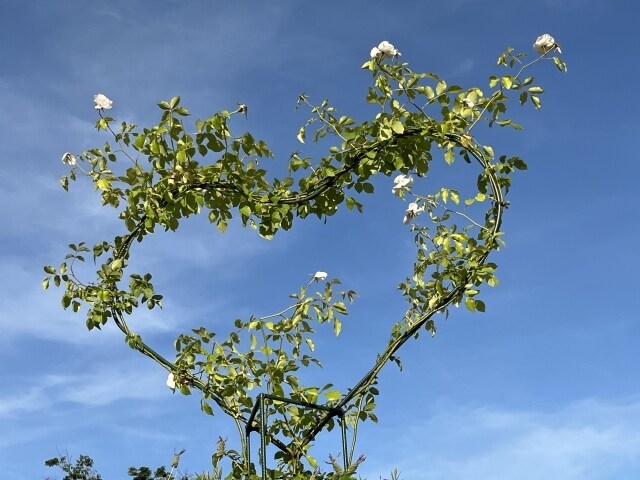 復縁・複雑恋愛など溺愛されたいあなた総合鑑定します 愛されるには？困難恋愛・復縁・片思い…直感タロット＆四柱推命 イメージ9