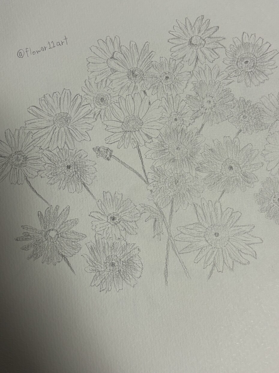 鉛筆でご依頼されたお花の絵を描きます 素人の模写作品です。本気で描かせていただきます。 イメージ8