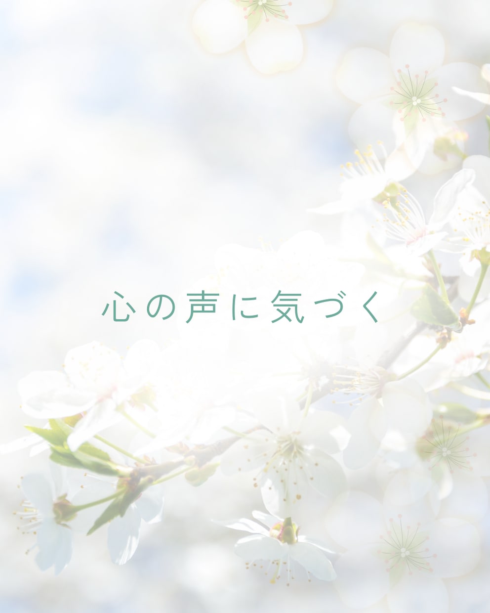 丁寧な対話で  あなたの心の声を、 大切に聴きます 安心できる時間、 本当のあなたの想いに触れてみませんか。 イメージ6