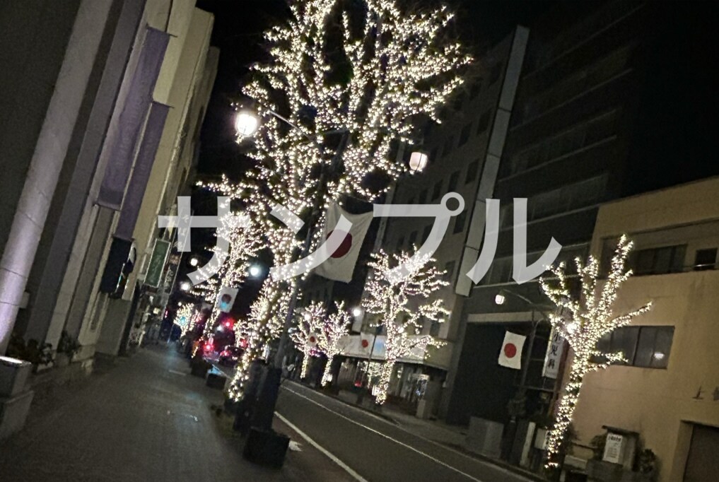 漫画、イラストの素材、観賞用としても使えます 綺麗な景色や可愛い動物の写真などをお届けします。 イメージ3