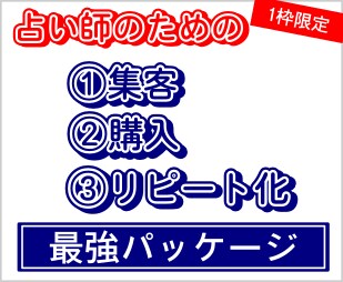 占い師専用の集客パッケージ構築します 集客⇒購入⇒リピータ育成までの仕組みをパッケージ化 イメージ1