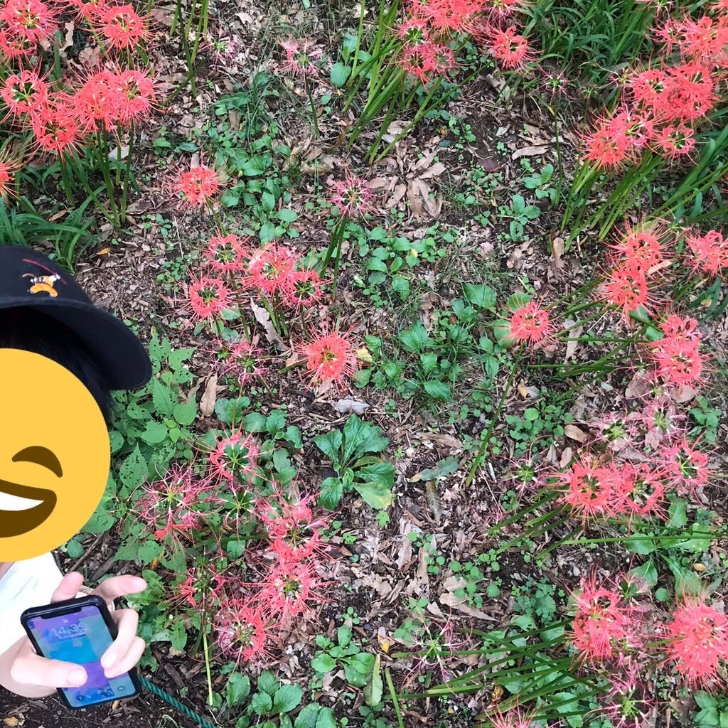 あなたが求めてる色々な存在になります 暇を持て余してる方のオトモになります イメージ1