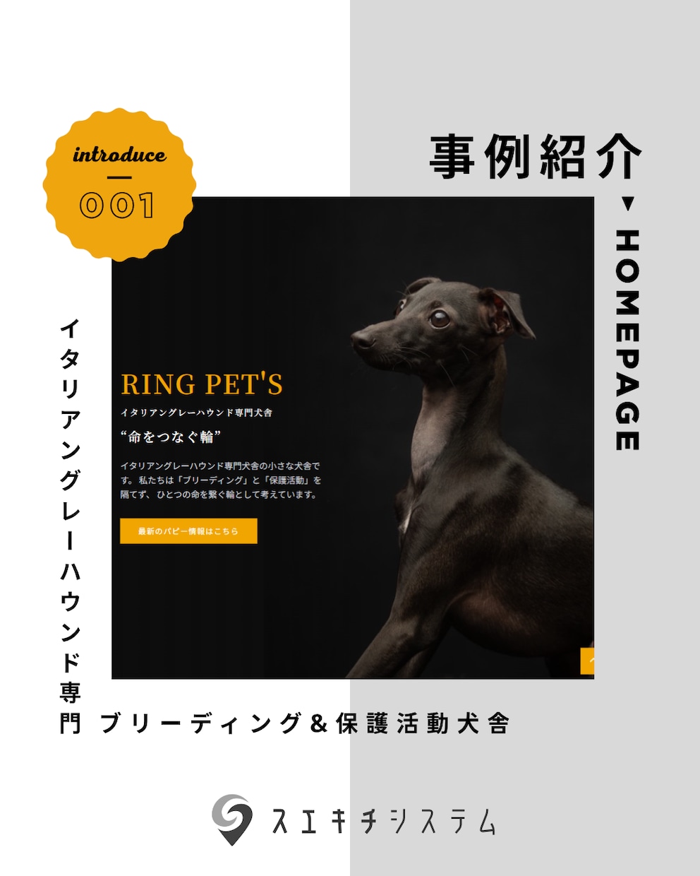 10月限定｜コスパ最強のHPを制作します コスパ重視・迅速納品(~2週間) イメージ1