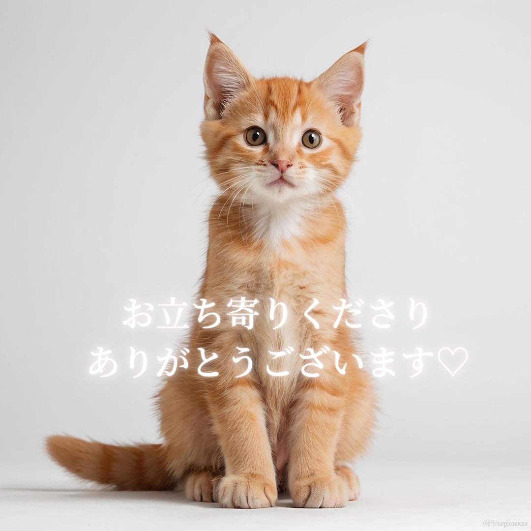 答えが欲しい方⭐手放すもの必要なものを伝えます 具体的な悩みに！迷いを手放し心地よい日常を過ごす道案内 イメージ5