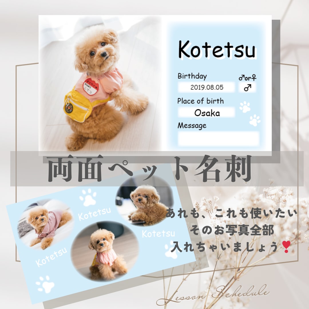ペット名刺・うちの子カードのデザイン制作承ります お友達と交換しよう！思い出に残るペットのオリジナル名刺 イメージ2