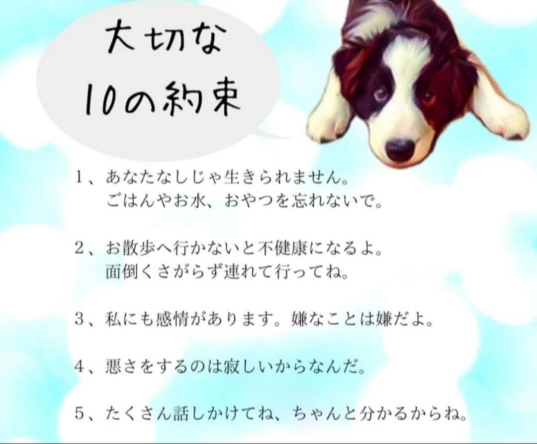 ペットとの“大切な10の約束”を画像入りで作ります 忘れないで大切なこと、ペットにはあなたしかいないこと。 イメージ1