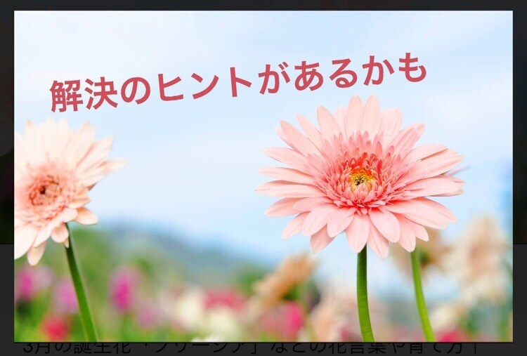 元英語教師！子育てママの相談に乗ります なんでも話してみてください(^^)/ イメージ1