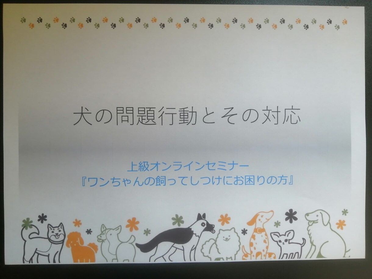 家庭犬専門トレーナーがしつけ方の基本をお伝えします 飼い方、しつけ方、その他日々のお困り事何でもご相談にのります イメージ7