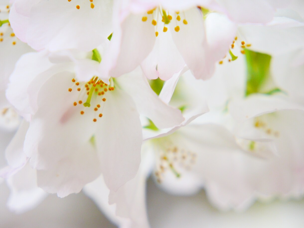 望む未来へ３日間♥延長ありでサポートします 魂の願い♥心の願い♥高次元存在たちとサポートしています♥ イメージ2