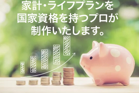 FP2級技能士が家計ライフプランをデータ化致します 貯蓄やライフイベントに収入や固定費がいくら必要か計算致します イメージ1