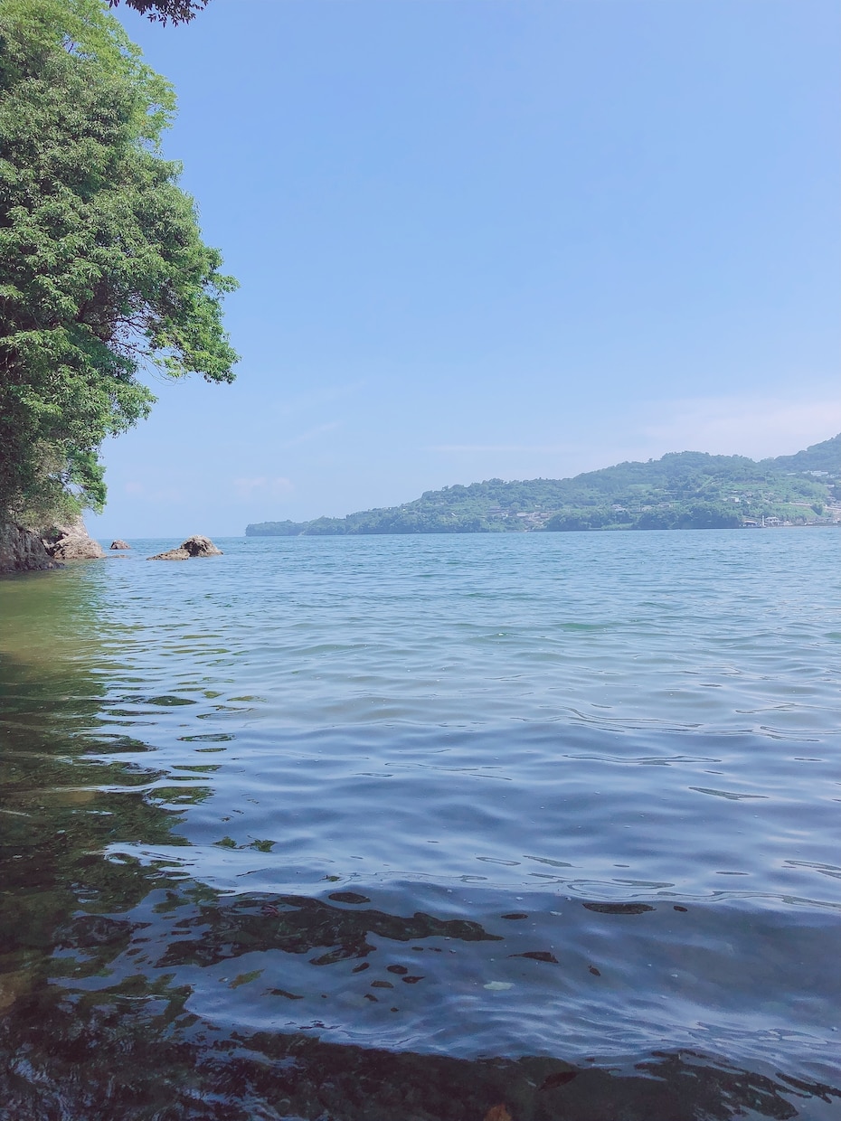 即日鑑定【1名様】＊霊視でお気持ち鑑定します お気持ち3つランダム＋お悩み1つ深掘り鑑定 イメージ2