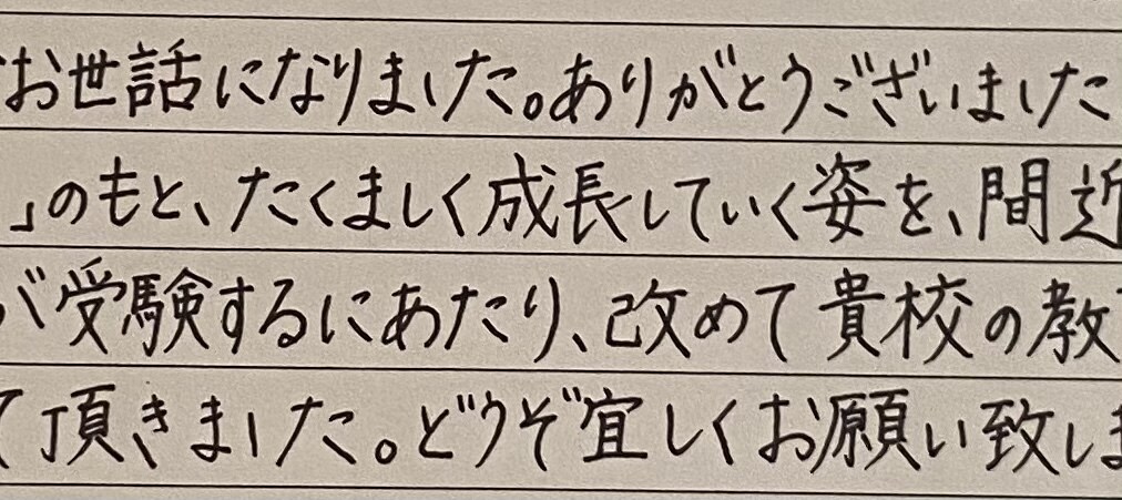 手書きES(履歴書・イラストも可)を代行致します 手書きESを作成する時間を省きませんか?? ◎ イメージ1