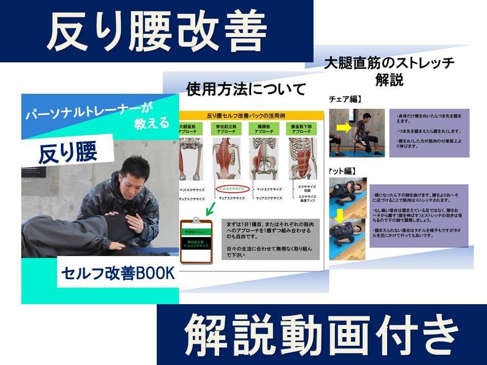 反り腰改善のエクササイズ教えます 反り腰の原因に関わる筋肉は４種類しかないです！！ イメージ1