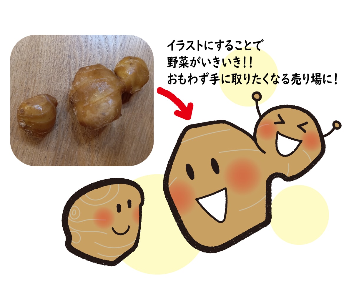野菜の魅力が伝わるイラストやPOP作成いたします 店頭やSNSで野菜販売する農家さんを応援！米農家が描きます！ イメージ2