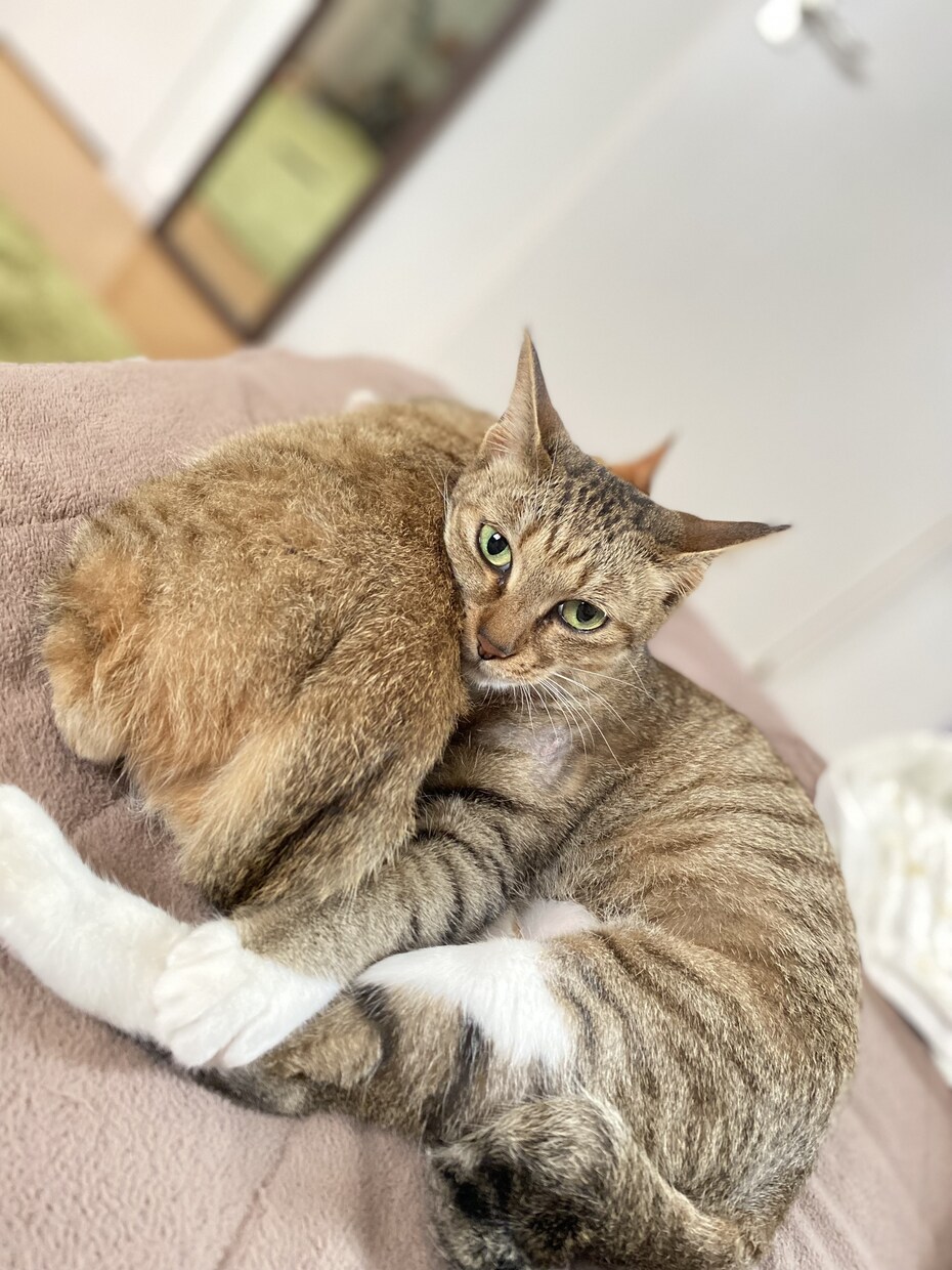 気軽にお話しできたらいいなと思ってます 呑気になんも考えずに話せる友達感覚で出来たらとおもってます！ イメージ3