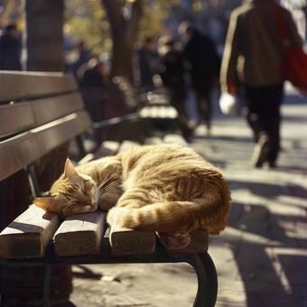 未来の不安に寄り添って、話を聴きます 国家資格所得者が仕事や将来の不安の相談に乗ります イメージ3