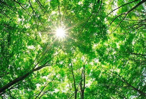 人間関係のモヤモヤ、やさしくお聴きします 愚痴でも大丈夫。否定せず、あなたの気持ちに寄り添います イメージ5