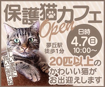Web・SNS対応！イベント用のバナー制作します 伝えたい内容をわかりやすく整理したバナーをお作りします。 イメージ5