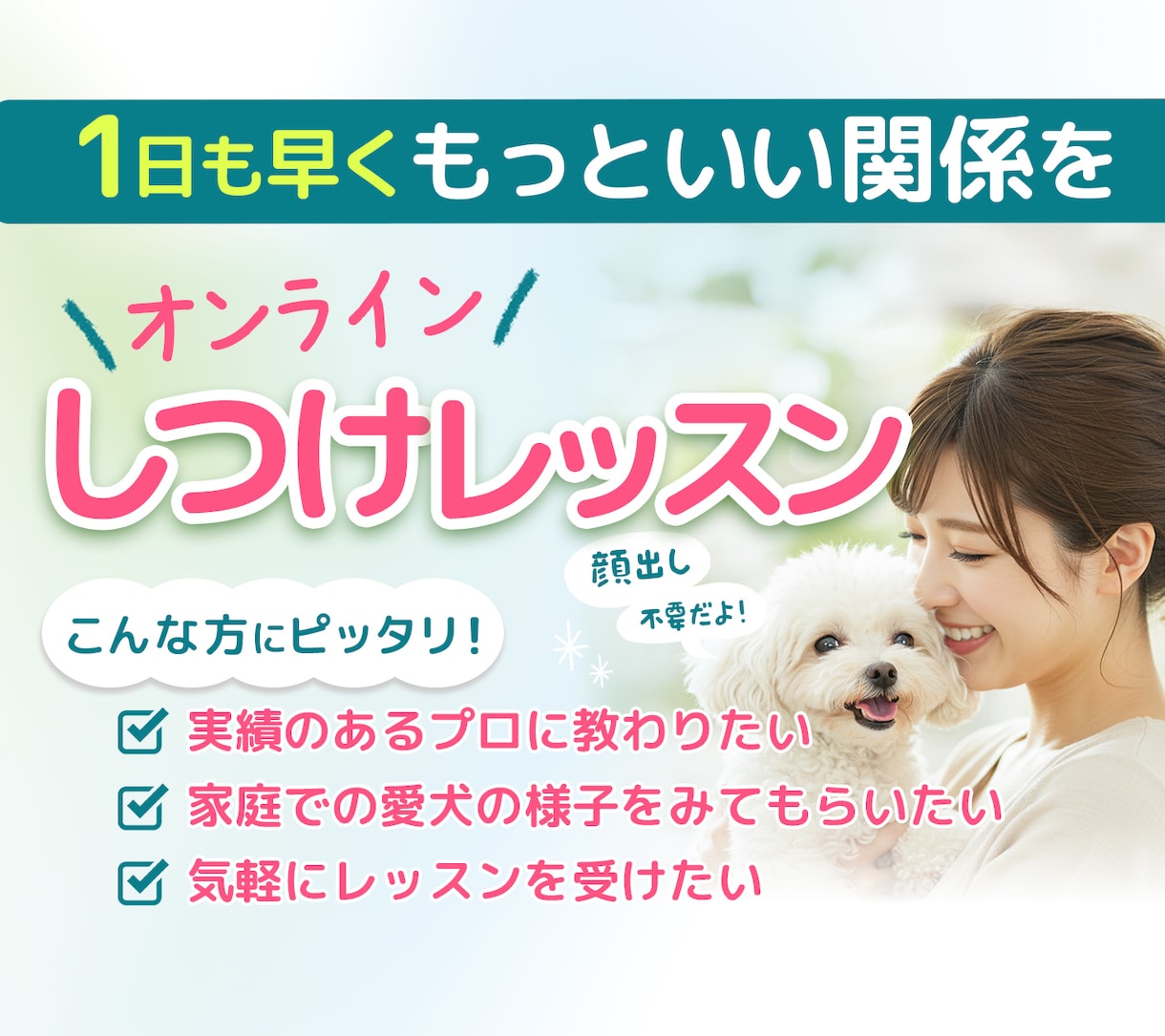 トレーナー歴14年！オンラインでしつけ教室します 愛犬に優しく、飼い主様が再現しやすい方法をご提案します イメージ1