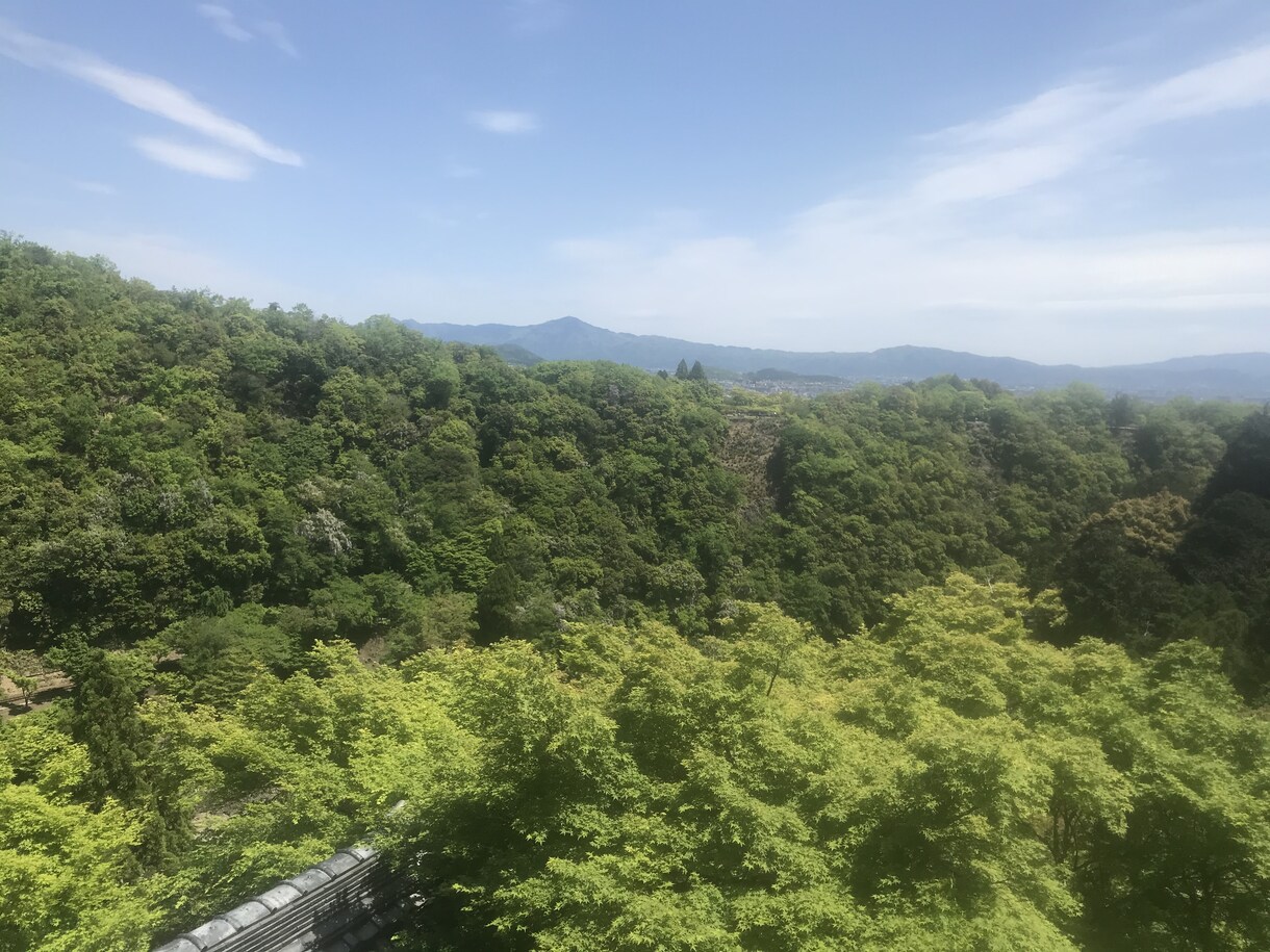 愚痴　お悩み　現役の占いカウンセラーが対応します あーイライラする！誰かに聞いてほしい！そんな時頼って下さい イメージ1