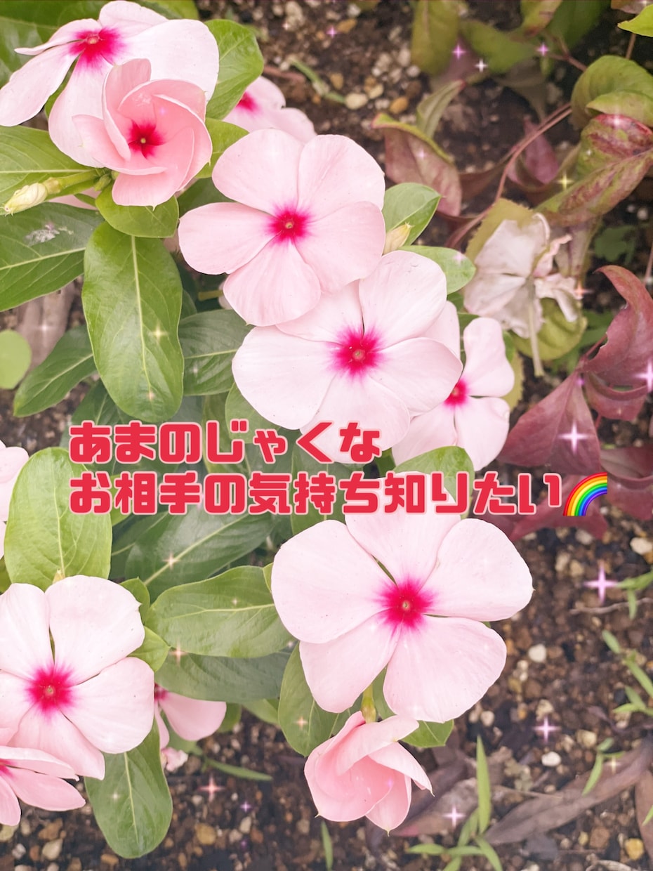 あまのじゃくなあの人の気持ち占います 直感術タロット、数秘術でリーディング致します！ イメージ1