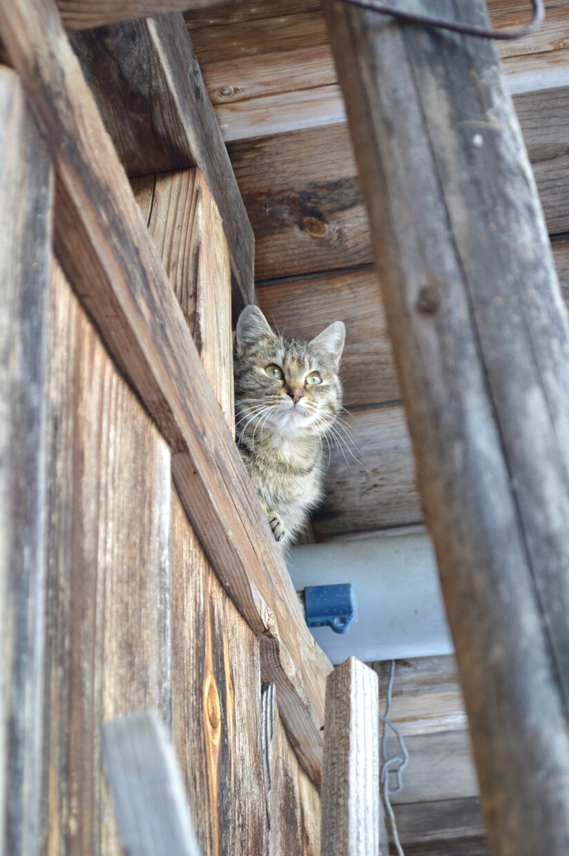 身の回りの写真を撮ります 都会とは違った田舎ならではの風景をどうぞ… イメージ1