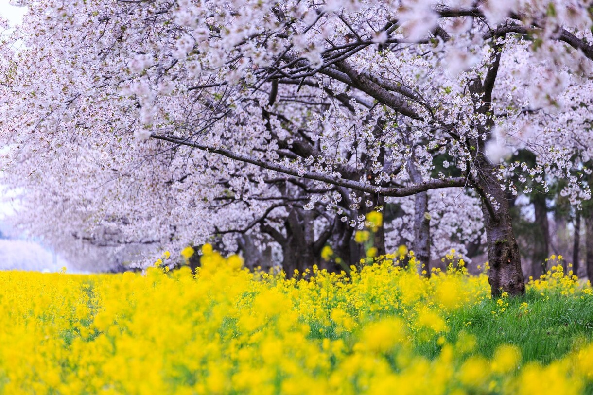 今日一日の嫌なこと、愚痴聞きます 愚痴、ぼやき全て受け止めます。スッキリさせて明日に備えて。 イメージ2