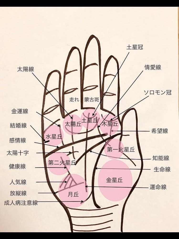 観相歴35年15000人占ったプロが鑑定致します 24h25000字☪️線紋手形精密診断、開運未来占います イメージ7
