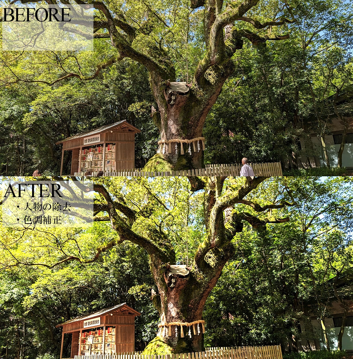 写真修正・画像加工・出品商品のレタッチ等承ります 低価格で高品質！違和感のない自然な調整で綺麗な仕上がり イメージ8