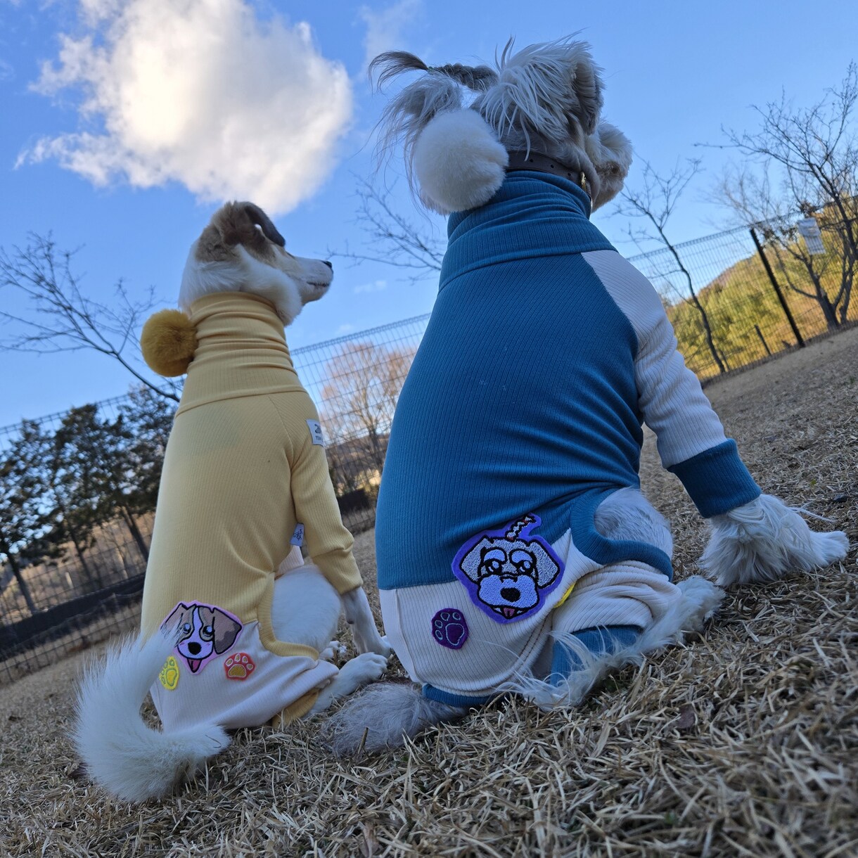 うちの子の「オリジナルワッペン」作成します 愛犬のオリジナルワッペンを作成！ イメージ6