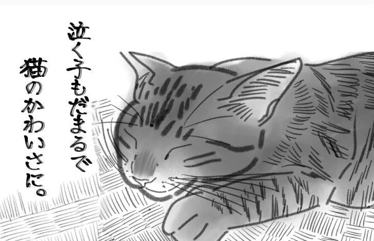 あなたのうちの子写真を元にイラストを描きます 複数枚写真をくださればその写真を元にアイコンを描きます！ イメージ4