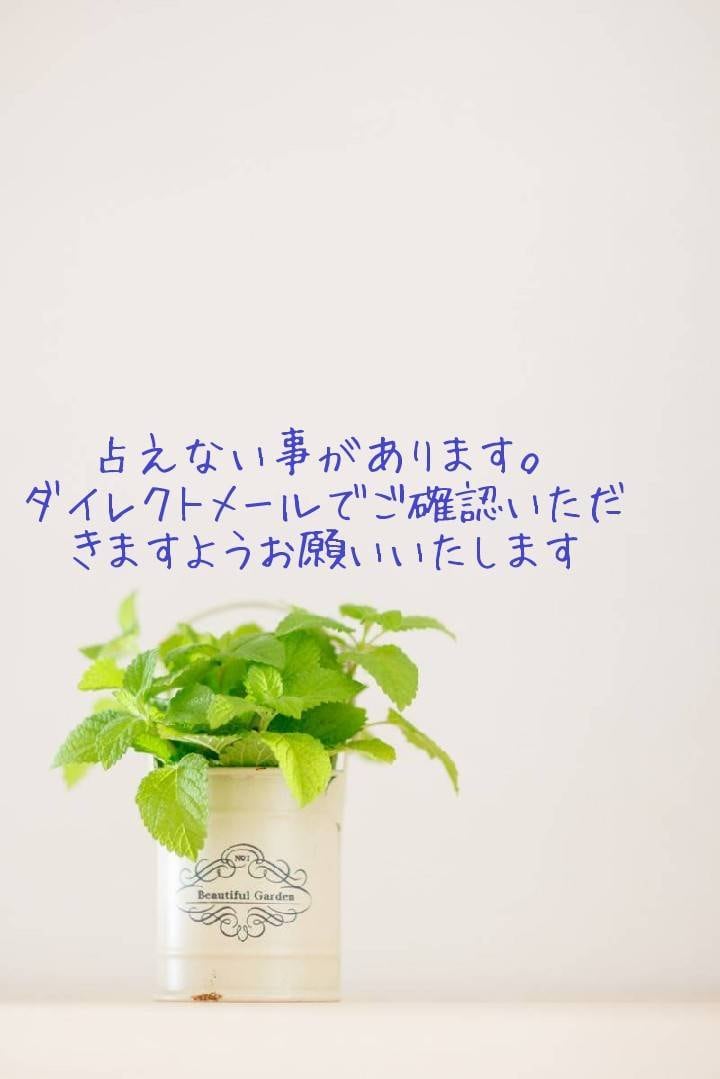 タロットで恋愛・お仕事の現状を占います しっかりと、現状を視ていきませんか？？ イメージ4