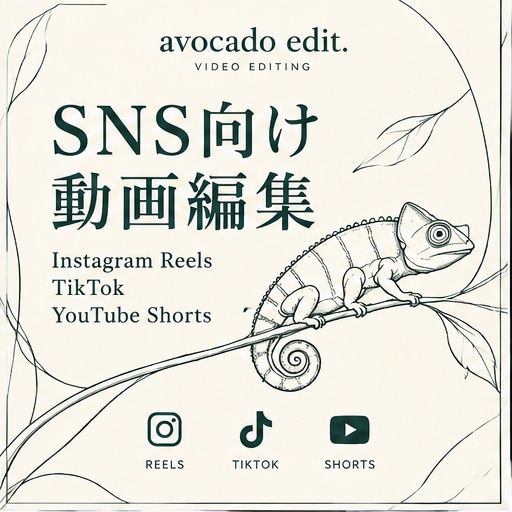 SNS向けショート動画をおしゃれに編集しますます SNS(インスタリール等)、店舗PRなど幅広く対応 イメージ2