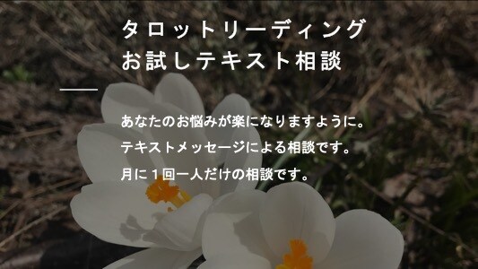 タロットを使ってあなたの心を楽にさせていただきます お話伺います。ぜひご利用ください。 イメージ1