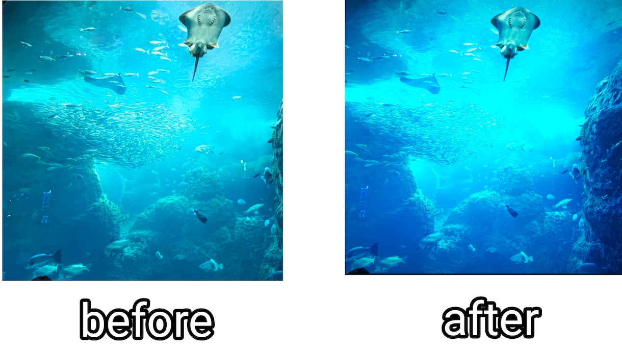 写真加工します 写真を美しく色鮮やかに加工します イメージ1