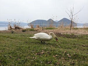 北海道旅行を考え中のあなたへモデルコースを考えます 現地民おすすめの穴場スポットもご紹介していきます！ イメージ7