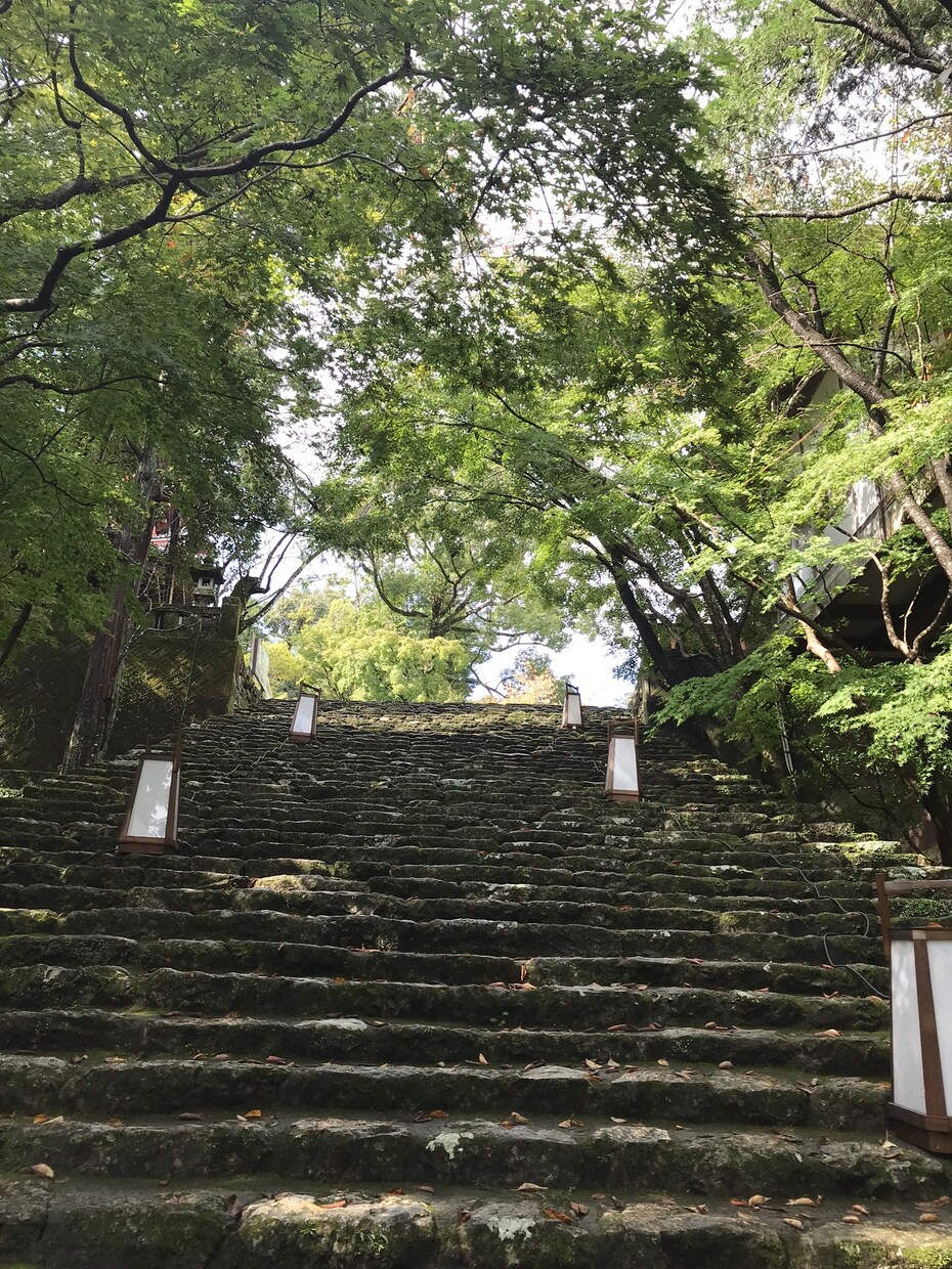 今年一年の運気占います 来年どんな良い年になるのか占ってみませんか？ イメージ1