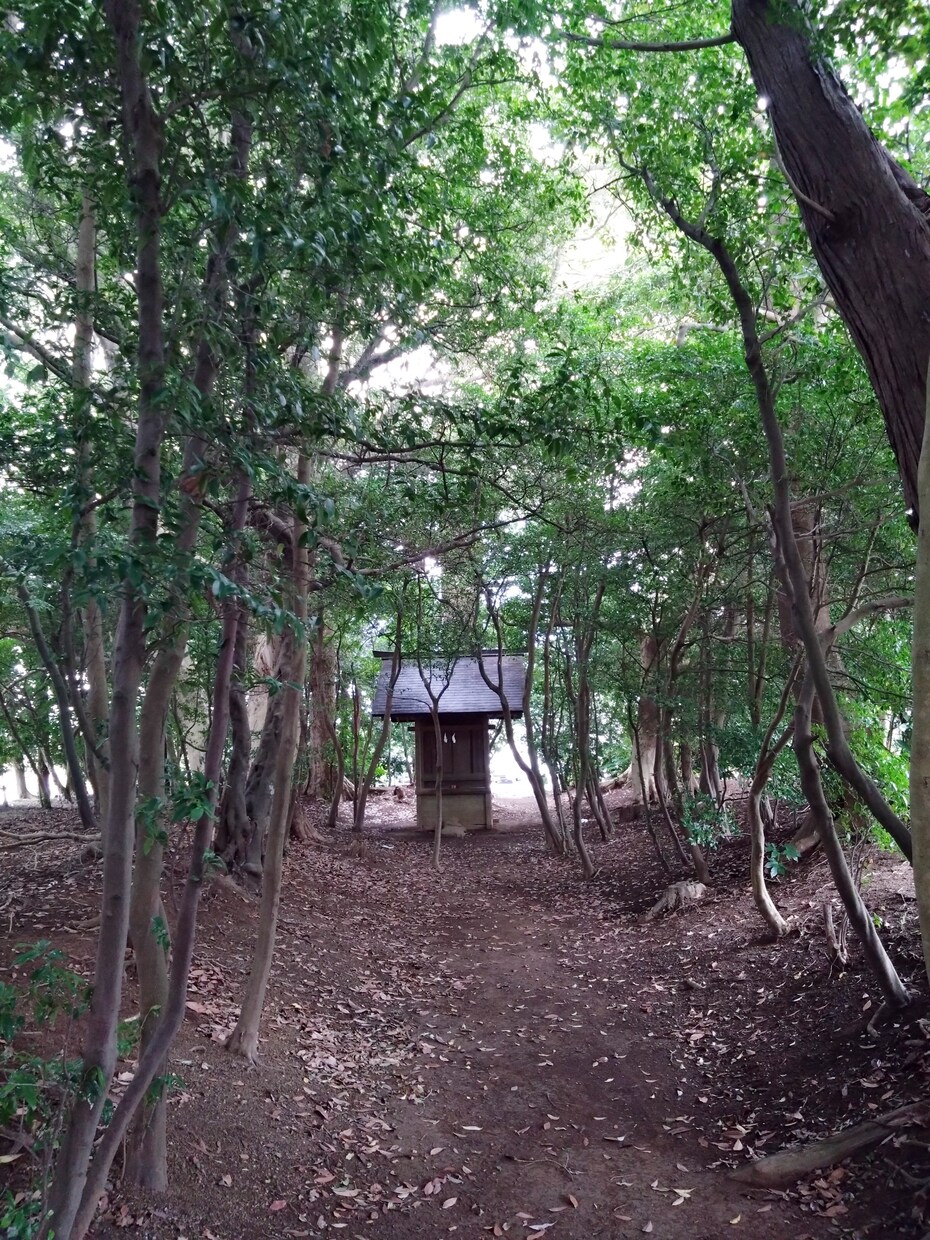 7月限定　本格算命学鑑定を特別価格でお届けします あなたの宿命と今の流れをやさしく解説します。 イメージ1
