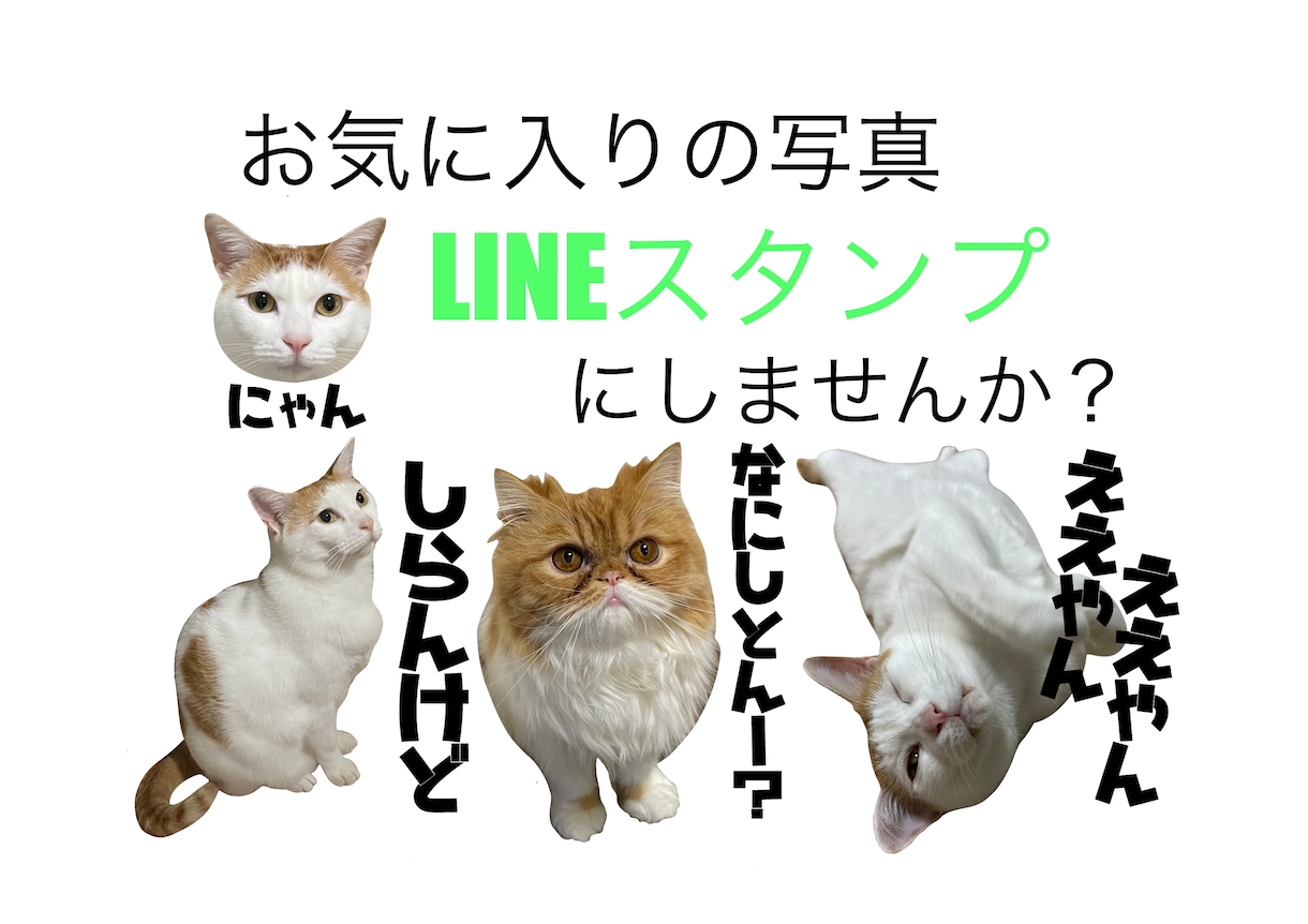 とっておきの写真をLINEスタンプにします 世界に１つだけのスタンプお作りします！ イメージ1